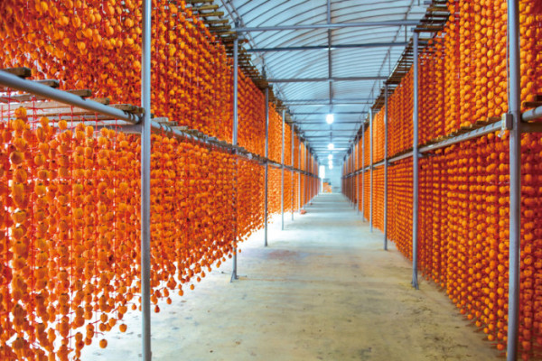 (이현숙 여행작가)