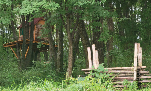 ▲어린이를 위한 통나무집. (신미화 교수)