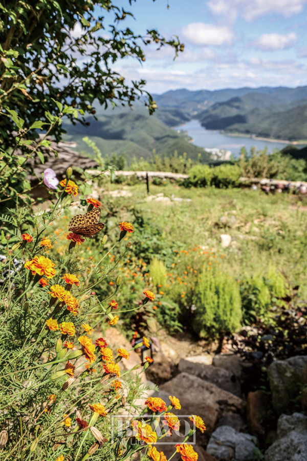 (주민욱 프리랜서)