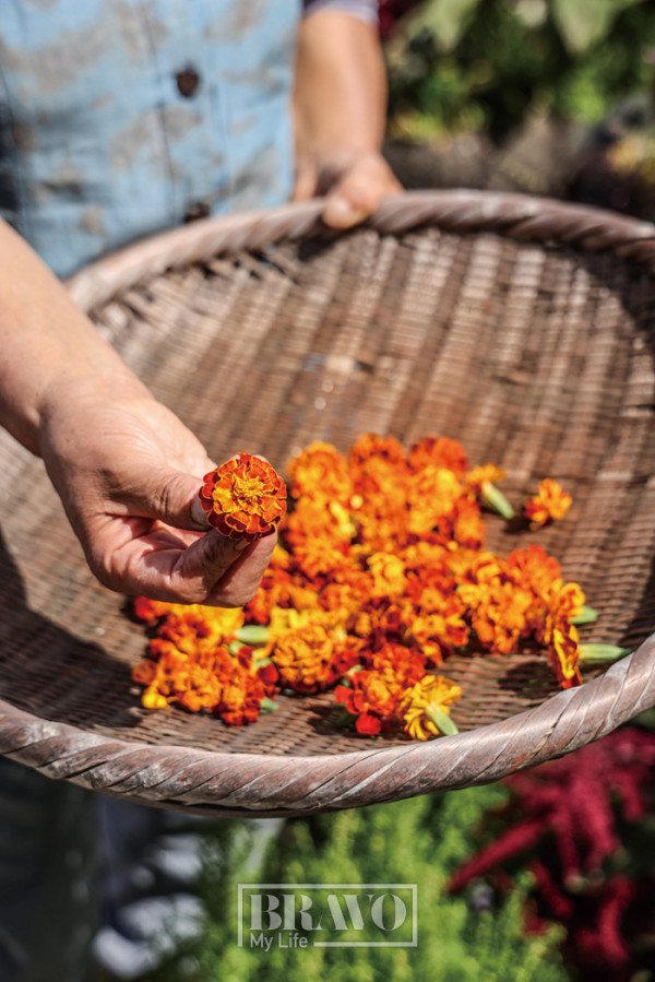 (주민욱 프리랜서)