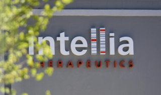인텔리아, ‘in vivo 편집’ 3상 “또” 간독성..“일시 중단”