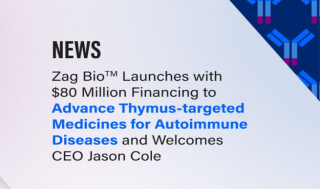 '흉선 타깃 이중항체' 재그, 8천만弗 출범..”T1D Treg”