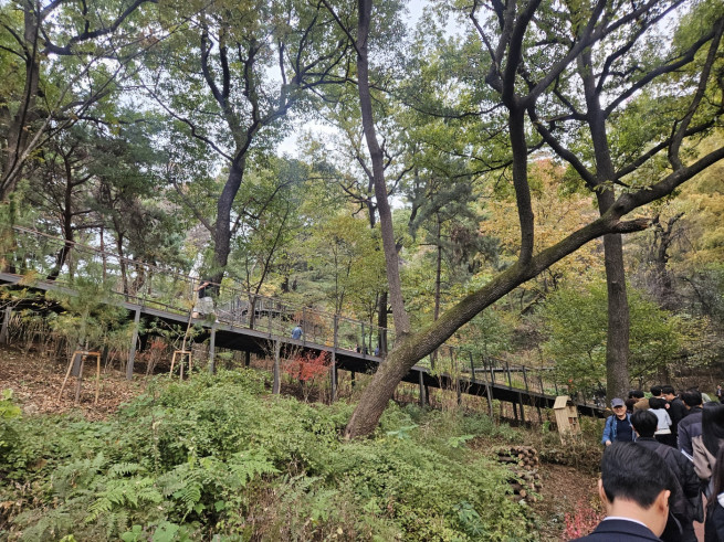 ▲서울 남산 무장애길 모습. (사진=정용욱 기자 dragon@)