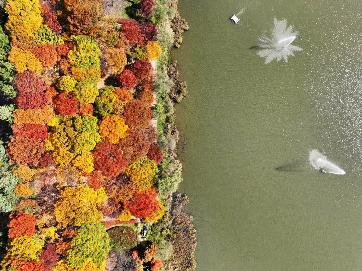 ▲가을 단풍이 절정에 접어든 2일 인천 남동구 인천대공원에 울긋불긋 물든 단풍이 깊어가는 계절의 정취를 전하고 있다. 이날 오후부터 북쪽의 찬 공기가 남하해 기온이 떨어지면서 오후 늦게부터 전국 곳곳에 한파주의보가 발효된다. 3일 아침엔 서울 1도, 파주 영하 3도, 대관령 영하 4도 등 전국에 0도 안팎의 추위가 찾아올 것으로 예상된다. 신태현 기자 holjjak@