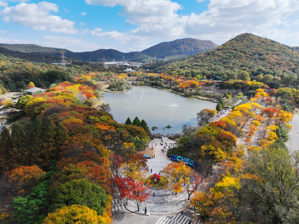 ▲가을 단풍이 절정에 접어든 2일 인천 남동구 인천대공원에 울긋불긋 물든 단풍이 깊어가는 계절의 정취를 전하고 있다. 이날 오후부터 북쪽의 찬 공기가 남하해 기온이 떨어지면서 오후 늦게부터 전국 곳곳에 한파주의보가 발효된다. 3일 아침엔 서울 1도, 파주 영하 3도, 대관령 영하 4도 등 전국에 0도 안팎의 추위가 찾아올 것으로 예상된다. 신태현 기자 holjjak@