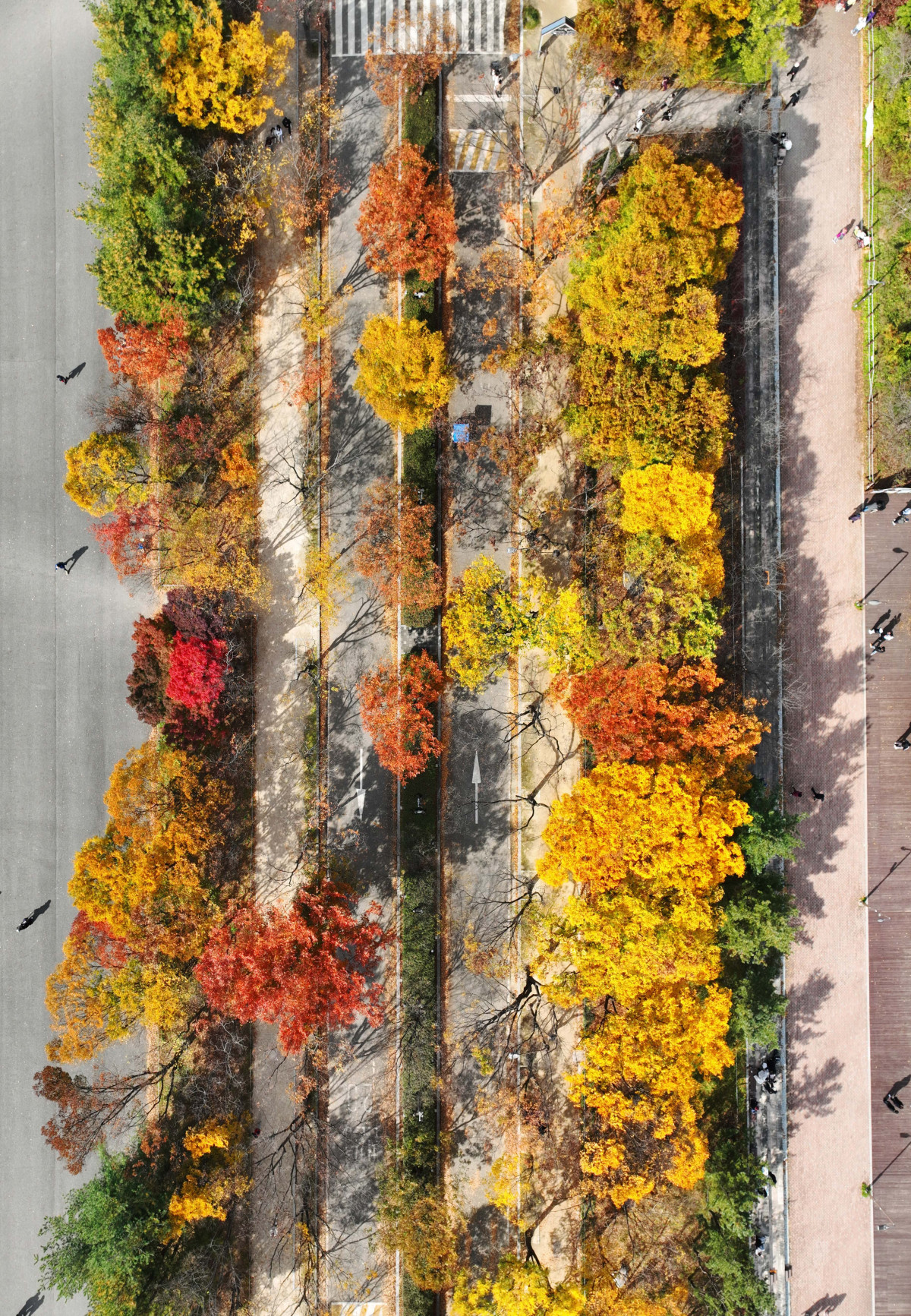 ▲가을 단풍이 절정에 접어든 2일 인천 남동구 인천대공원에 울긋불긋 물든 단풍이 깊어가는 계절의 정취를 전하고 있다. 이날 오후부터 북쪽의 찬 공기가 남하해 기온이 떨어지면서 오후 늦게부터 전국 곳곳에 한파주의보가 발효된다. 3일 아침엔 서울 1도, 파주 영하 3도, 대관령 영하 4도 등 전국에 0도 안팎의 추위가 찾아올 것으로 예상된다. 신태현 기자 holjjak@