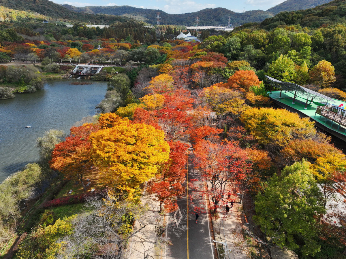 ▲가을 단풍이 절정에 접어든 2일 인천 남동구 인천대공원에 울긋불긋 물든 단풍이 깊어가는 계절의 정취를 전하고 있다. 이날 오후부터 북쪽의 찬 공기가 남하해 기온이 떨어지면서 오후 늦게부터 전국 곳곳에 한파주의보가 발효된다. 3일 아침엔 서울 1도, 파주 영하 3도, 대관령 영하 4도 등 전국에 0도 안팎의 추위가 찾아올 것으로 예상된다. 신태현 기자 holjjak@