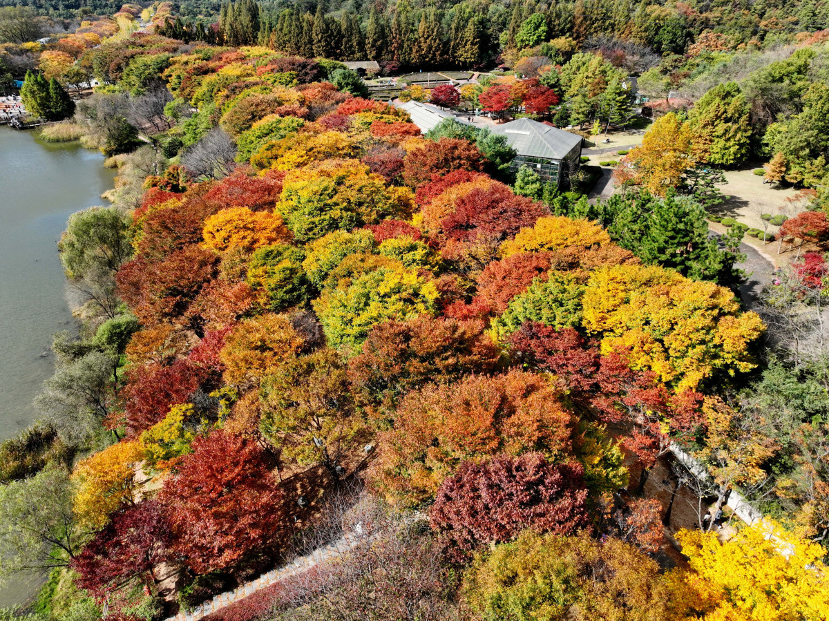 (신태현 기자 holjjak@)