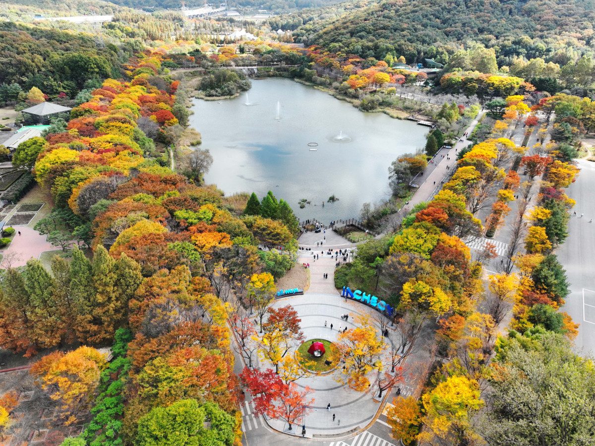▲가을 단풍이 절정에 접어든 2일 인천 남동구 인천대공원에 울긋불긋 물든 단풍이 깊어가는 계절의 정취를 전하고 있다. 이날 오후부터 북쪽의 찬 공기가 남하해 기온이 떨어지면서 오후 늦게부터 전국 곳곳에 한파주의보가 발효된다. 3일 아침엔 서울 1도, 파주 영하 3도, 대관령 영하 4도 등 전국에 0도 안팎의 추위가 찾아올 것으로 예상된다. 신태현 기자 holjjak@