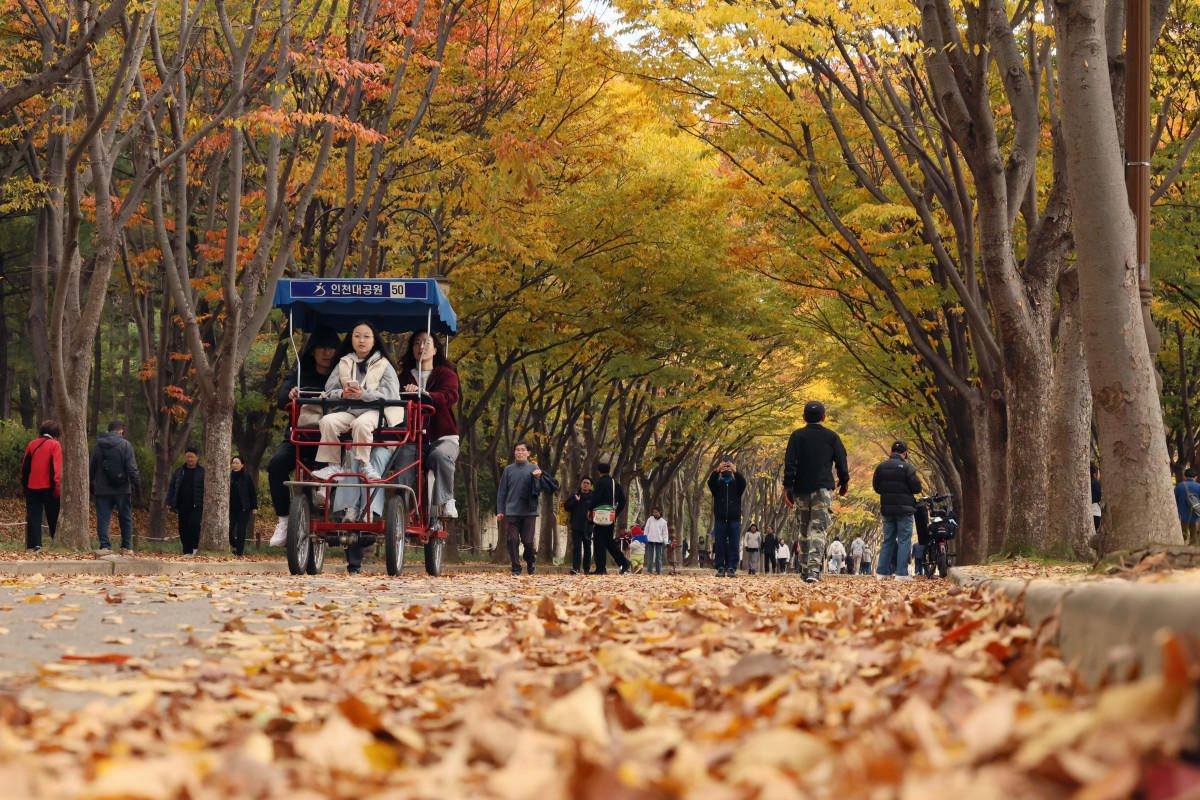 ▲가을 단풍이 절정에 접어든 2일 인천 남동구 인천대공원에 울긋불긋 물든 단풍이 깊어가는 계절의 정취를 전하고 있다. 이날 오후부터 북쪽의 찬 공기가 남하해 기온이 떨어지면서 오후 늦게부터 전국 곳곳에 한파주의보가 발효된다. 3일 아침엔 서울 1도, 파주 영하 3도, 대관령 영하 4도 등 전국에 0도 안팎의 추위가 찾아올 것으로 예상된다. 신태현 기자 holjjak@