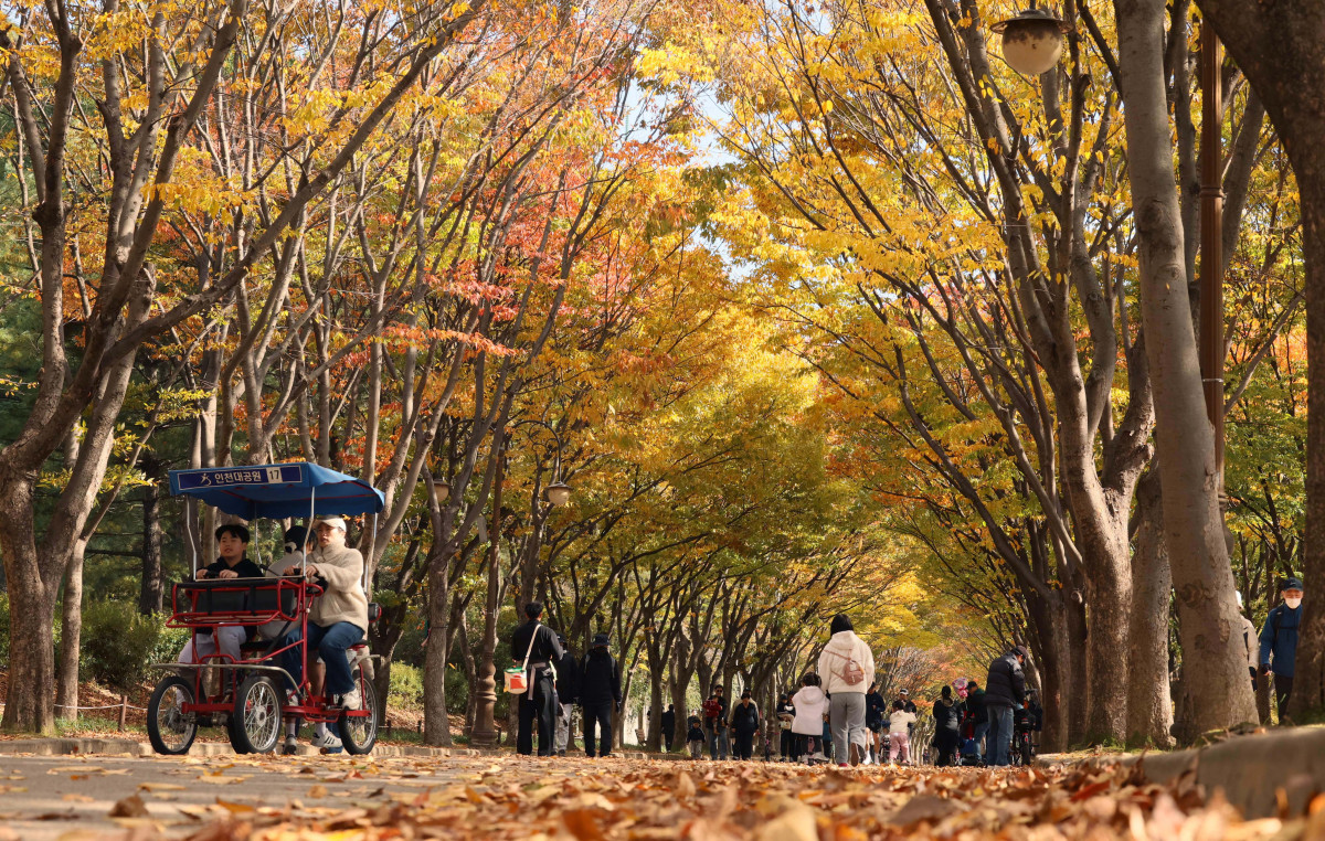 ▲가을 단풍이 절정에 접어든 2일 인천 남동구 인천대공원에 울긋불긋 물든 단풍이 깊어가는 계절의 정취를 전하고 있다. 이날 오후부터 북쪽의 찬 공기가 남하해 기온이 떨어지면서 오후 늦게부터 전국 곳곳에 한파주의보가 발효된다. 3일 아침엔 서울 1도, 파주 영하 3도, 대관령 영하 4도 등 전국에 0도 안팎의 추위가 찾아올 것으로 예상된다. 신태현 기자 holjjak@