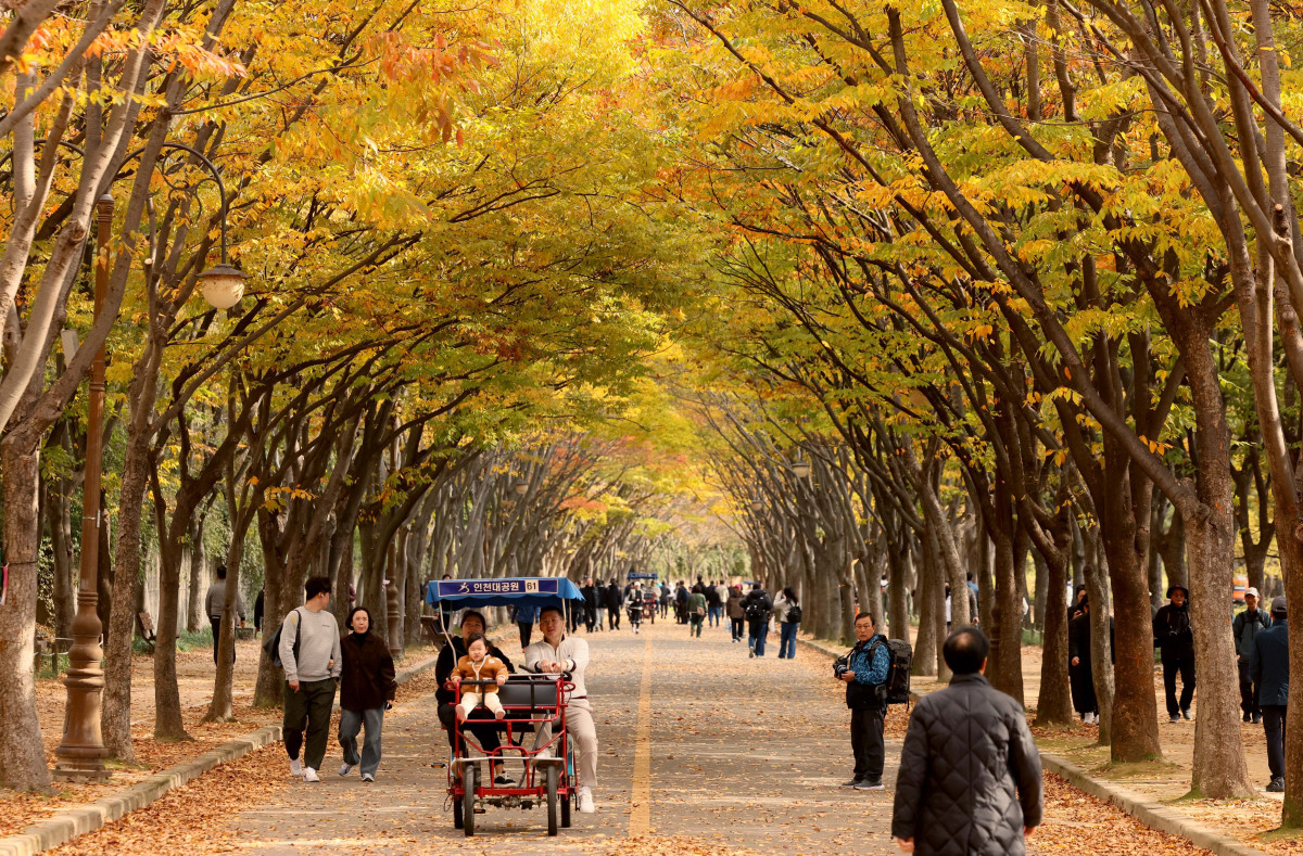 ▲가을 단풍이 절정에 접어든 2일 인천 남동구 인천대공원에 울긋불긋 물든 단풍이 깊어가는 계절의 정취를 전하고 있다. 이날 오후부터 북쪽의 찬 공기가 남하해 기온이 떨어지면서 오후 늦게부터 전국 곳곳에 한파주의보가 발효된다. 3일 아침엔 서울 1도, 파주 영하 3도, 대관령 영하 4도 등 전국에 0도 안팎의 추위가 찾아올 것으로 예상된다. 신태현 기자 holjjak@