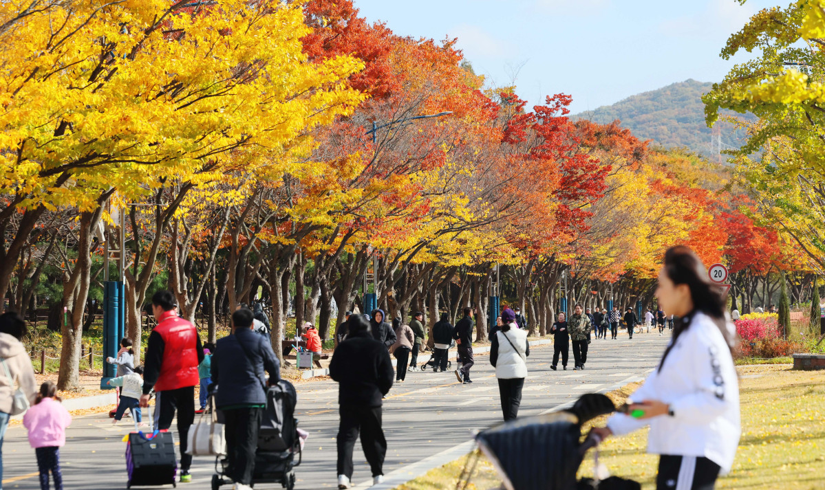 (신태현 기자 holjjak@)