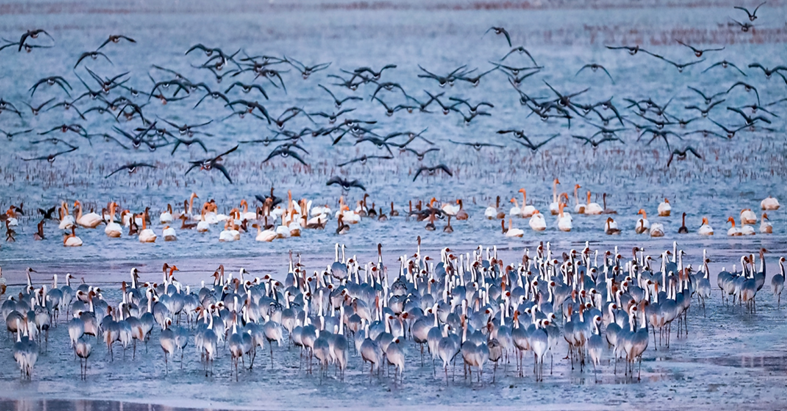 ▲창원 주남저수지. (기후에너지환경부)