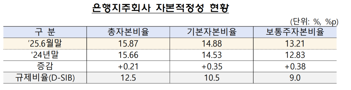 (사진제공=금융감독원)
