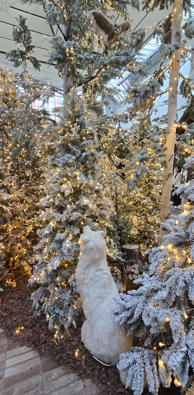 ▲해리의 크리스마스 공방 숲의 모습. (배근미 기자 @athena3507)