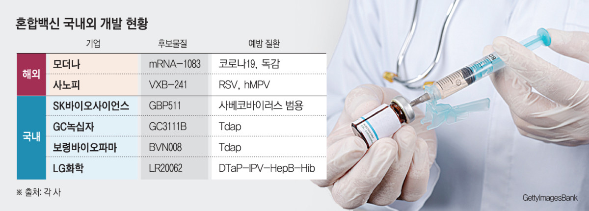 (그래픽=손미경 기자 sssmk@)