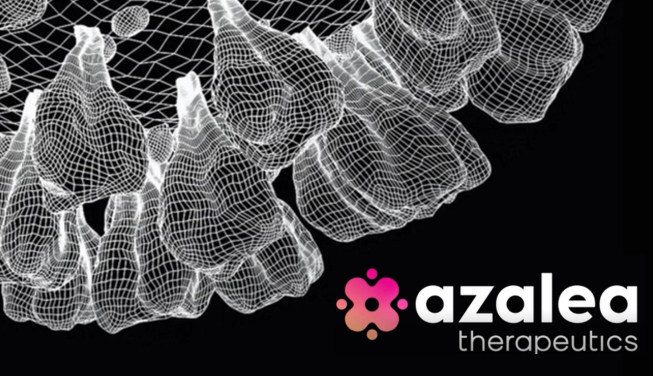 ‘다우드나’ 아젤리아, 8200만弗 출범.."新접근" 인비보 CAR-T