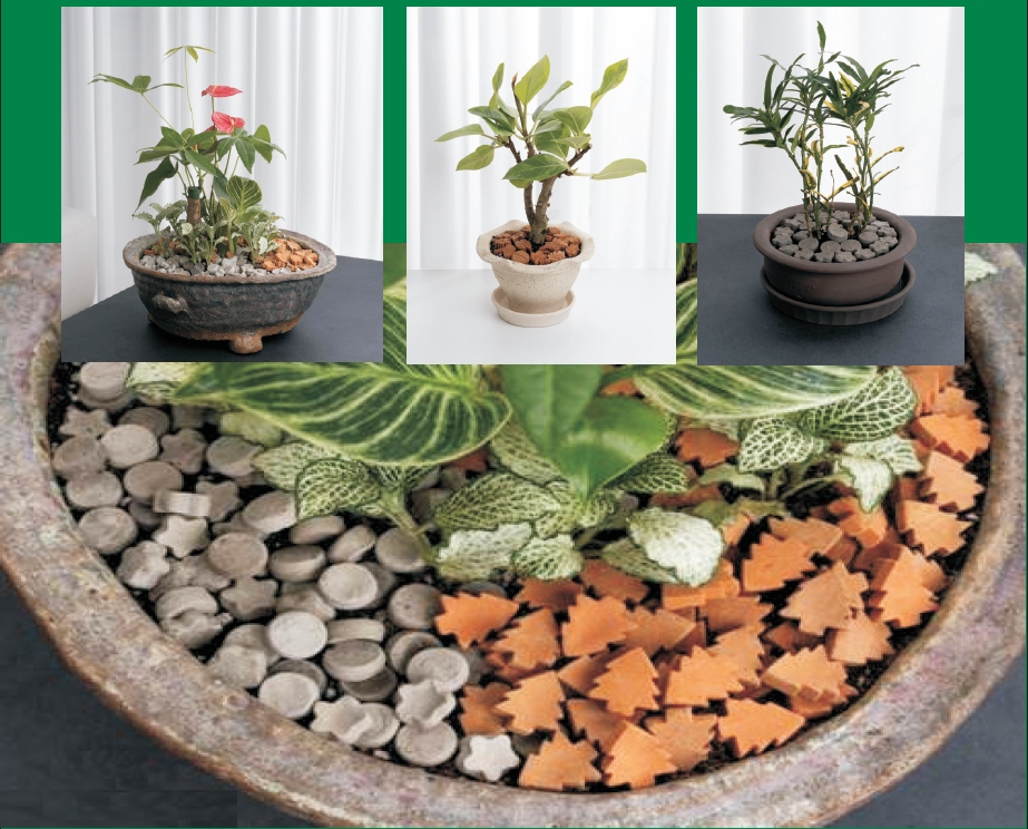 ▲감귤박으로 만든 토양개량제 (사진제공=농촌진흥청)