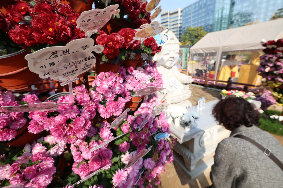 ▲2026학년도 대학수학능력시험을 일주일 앞둔 6일 서울 종로구 조계사에 자녀의 학업성취를 기원하는 글귀가 놓여 있다. 신태현 기자 holjjak@