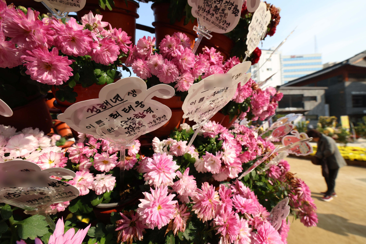 ▲2026학년도 대학수학능력시험을 일주일 앞둔 6일 서울 종로구 조계사에 자녀의 학업성취를 기원하는 글귀가 놓여 있다. 신태현 기자 holjjak@