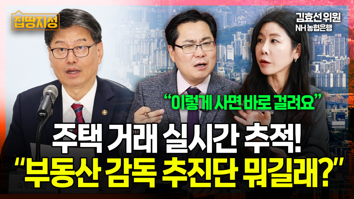 (이투데이TV '집땅지성')