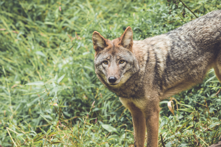 (게티이미지뱅크)