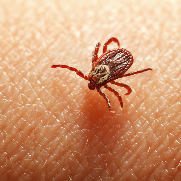 (게티이미지뱅크)