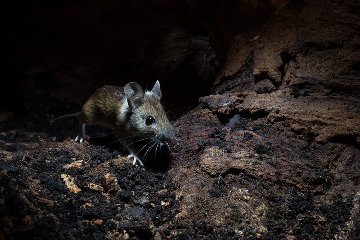 (게티이미지뱅크)