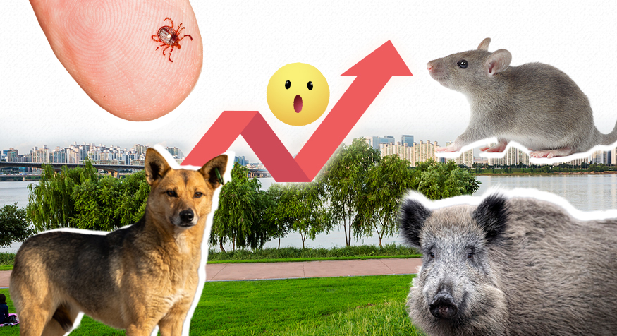 (디자인=김다애 디자이너 mnbgn@)