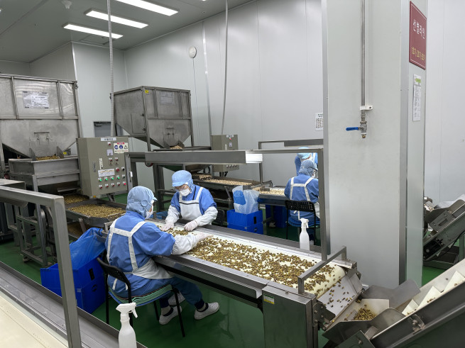 ▲6일 경기 고양시의 더채움 공장에서 직원들이 견과류 선별 작업을 하고 있다. (서이원 기자 @iwonseo96)