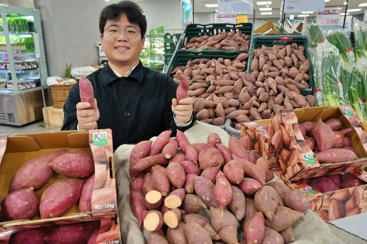 ▲롯데마트 호풍미 고구마 (사진제공=롯데쇼핑)