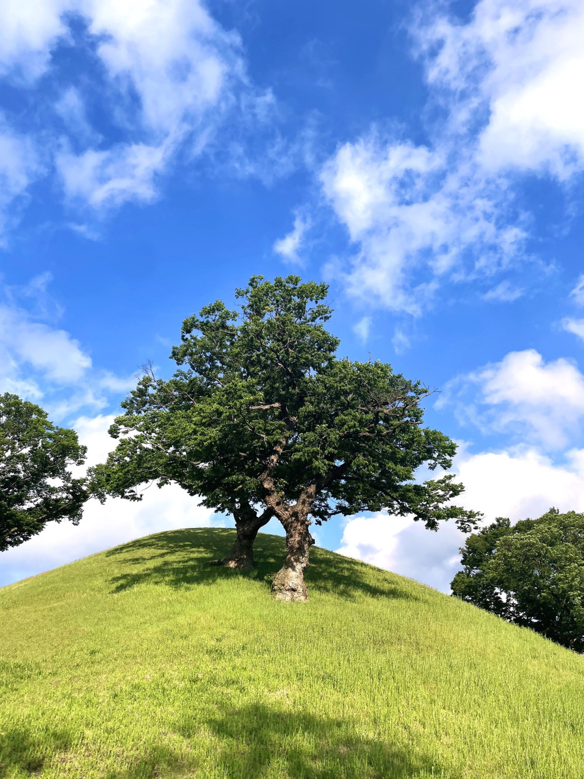 ▲제2회 HS효성 2026 사진 공모전 당선작. (사진= HS효성)