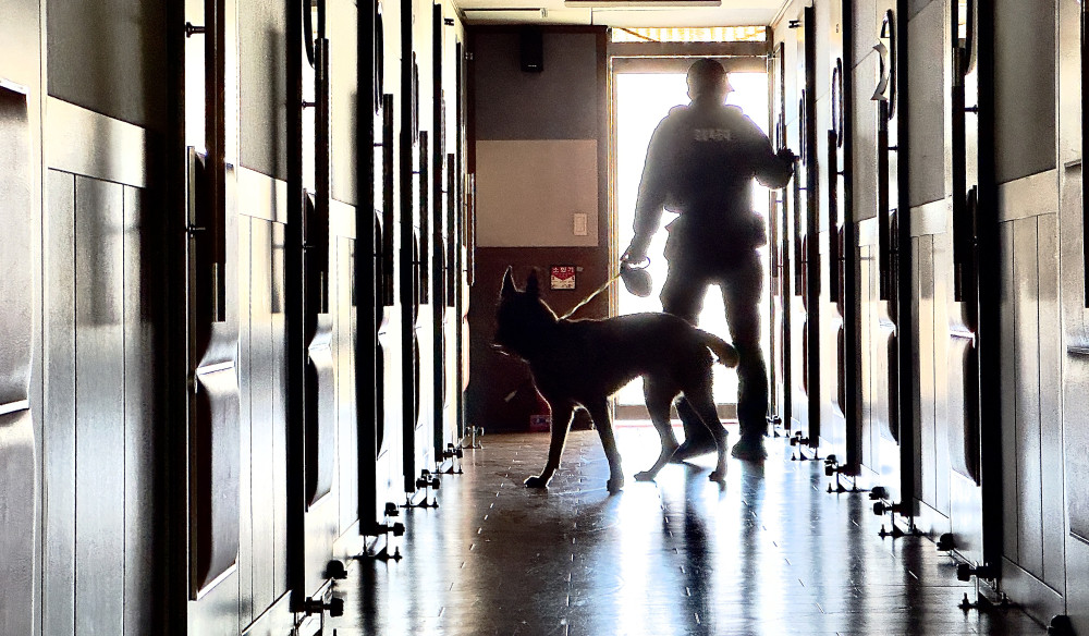 ▲2026학년도 대학수학능력시험(수능)을 사흘 앞둔 10일 대구 한 고등학교에 사제 폭탄이 설치됐다는 신고가 접수돼 경찰 특공대가 폭발물 수색을 위해 학교를 살펴보고 있다.  (연합뉴스)