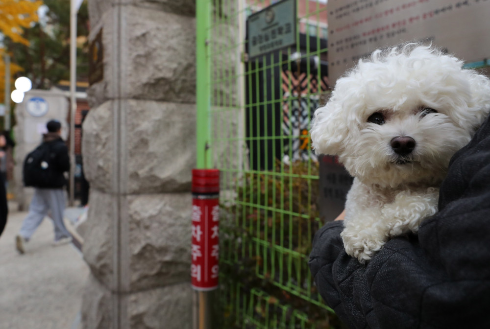▲2026학년도 대학수학능력시험일인 13일 오전 서울 송파구 방산고등학교에 마련된 2026학년도 대학수학능력시험 서울특별시교육청 제16시험지구 제10시험장으로 수험생들이 들어가고 있다.  (뉴시스)