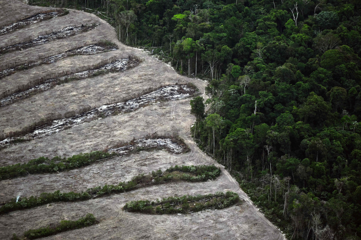 ▲항공 사진이 12일(현지시간) 브라질 파라 주 벨렘 주변의 아마존 열대 우림의 삼림 벌채 지역을 보여준다. 제30차 유엔 기후변화협약 당사국 총회(COP30)는 10∼21일 브라질 벨렝에서 개최된다.  2015년 파리협정 채택 10주년에 열린다는 점에서 의미가 깊지만, 역사적으로 가장 많은 온실가스를 배출했고 현재는 두 번째로 많은 양을 배출하는 미국이 사실상 불참하면서 '기후위기 대응 전선'에 균열이 난 상황이라는 지적이 높다.  (AFP연합뉴스)