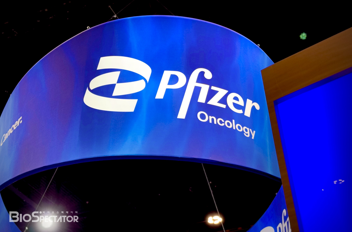 화이자, TOP1 '메소텔린 ADC' 중단..초기 항암제 2건도
