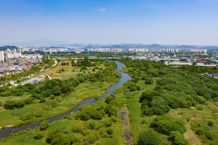 ▲광주 광산구에 자리한 국가습지인 '장록습지'. (사진제공=광주시)