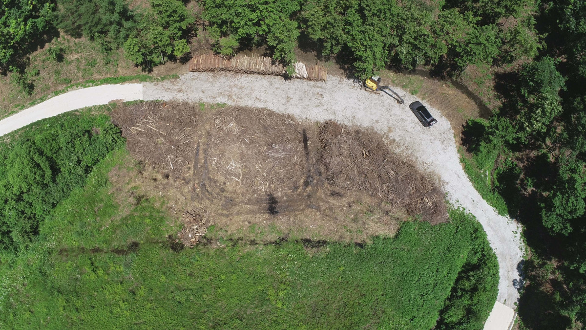 ▲장수 선도단지 (사진제공=산림청)