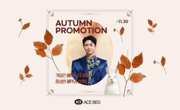 (사진제공=에이스침대 )