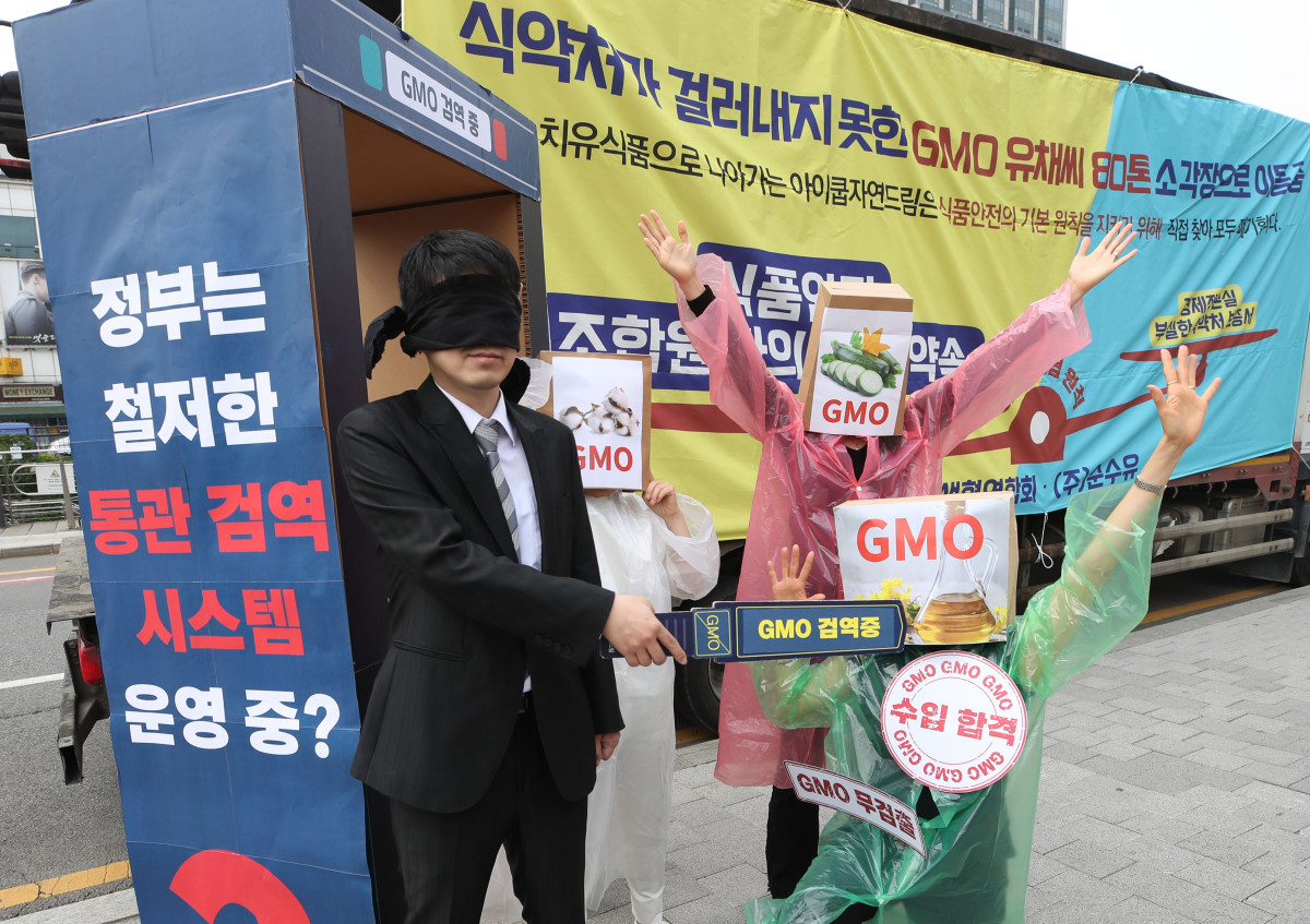 ▲소비자기후행동 회원들이 2023년 5월 12일 서울 종로구 한 호텔 앞에서 'GMO 수입·통관 제도 개혁 및 GMO 완전표시제 도입 촉구 기자회견을 열고 유기농 유채씨 GMO 혼입 건 및 미승인 LMO 주키니 호박 유통 건 등 허술한 GMO 수입·통관 제도와 GMO 관리 부실에 대한 항의 퍼포먼스를 하고 있다. (뉴시스)