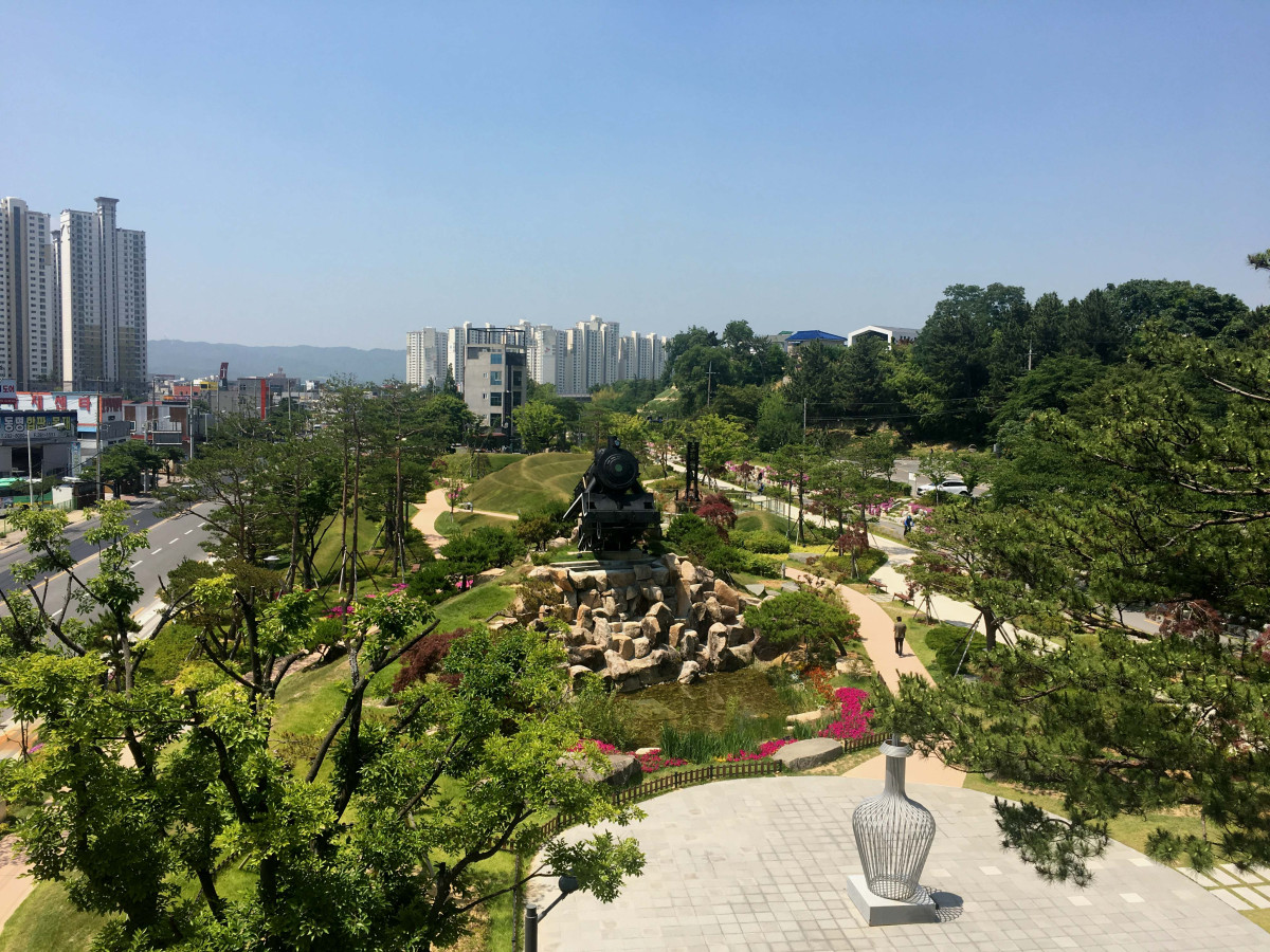 ▲경상북도 포항시 이화숲 가로수길 (사진제공=산림청)