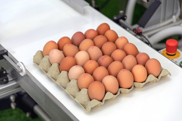 ▲이경실 달걀사업 가격 논란…언급된 '난각번호' 보는 법은? (게티이미지뱅크)