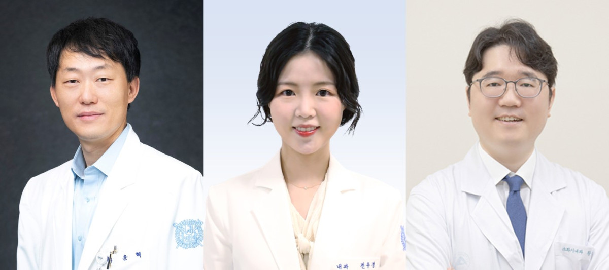 ▲(왼쪽부터) 윤혁·전유경 분당서울대병원 소화기내과 교수, 황성욱 서울아산병원 소화기내과 교수. (분당서울대병원)