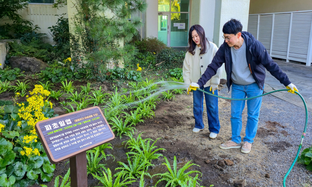 ▲금호석유화학그룹 직원들이 금호제주리조트에 식재한 파초일엽에 관수하고 있다. (사진제공=금호석유화학그룹)