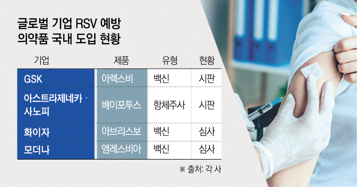 (그래픽=신미영 기자 win8226@)