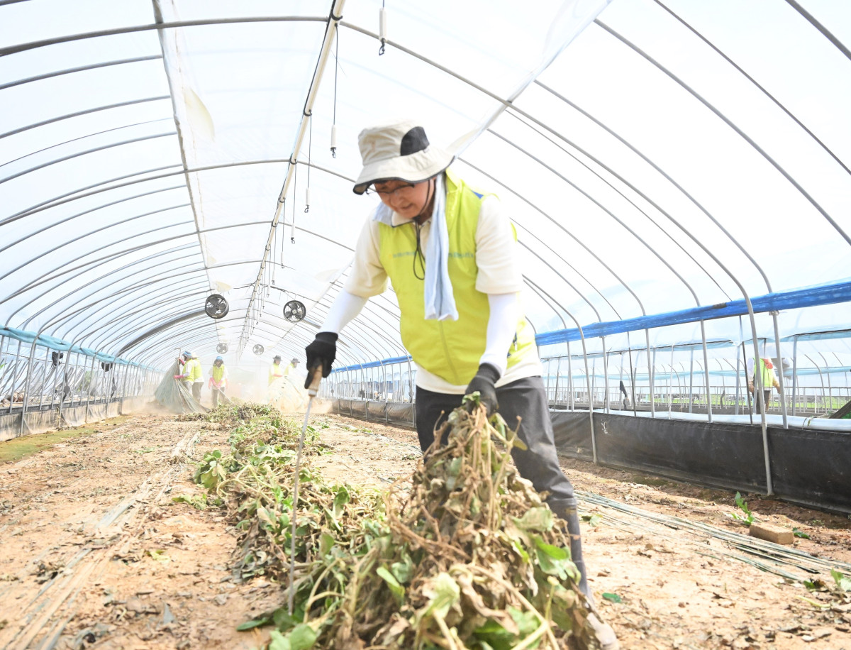 ▲NH농협손해보험은 보건복지부와 한국사회복지협의회가 공동 주관하는 ‘지역사회공헌 인정제’에서 5년 연속 인정기업으로 선정됐다고 20일 밝혔다. 사진은 송춘수 NH농협손해보험 대표이사가 올해 7월 23일 충남 예산에서 수해복구 활동을 실시하고 있다. (제공 NH농협손해보험)