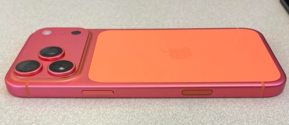 (출처=SNS 갈무리)