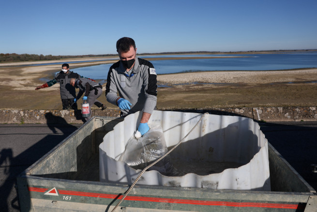 ▲조류 사체를 처리하는 환경 당국 직원 (로이터/연합뉴스)