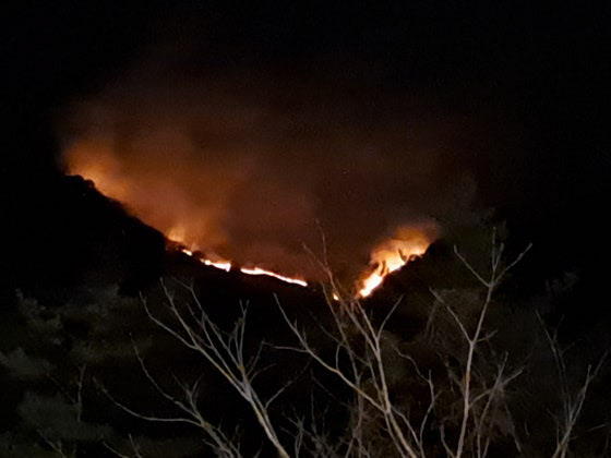 ▲ 강원 양양군 서면 서림리 인근 야산에서 발생한 산불 모습. (연합뉴스)